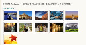 nextgen-gallery相册图片列表显示效果